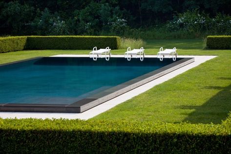 PebbleFina Image Gallery – Pebble Tec New York Projects, Pool Finishes, Garden Pool, Water Design, Forest Landscape, Pool Designs, Sapphire Blue, Hedges, Spa Pool