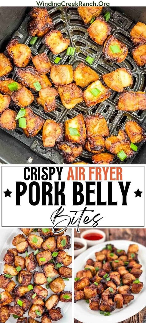 Crispy Air Fryer Pork Belly Bites Easy Pork Belly Recipes Air Fryer, Porkbelly Crispy Air Fryer, Korean Pork Belly Air Fryer Recipe, Airfryer Pork Belly, Crispy Pork Belly Air Fryer, Air Fryer Recipes Healthy Low Carb, Air Fryer Recipes Keto, Air Fryer Recipes Low Carb, Pork Bites