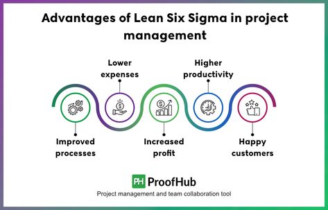 Advantages of Lean Six Sigma in project management It Project Management, Six Sigma, Lean Six Sigma, Continuous Improvement, Project Management, Need To Know, Quick Saves