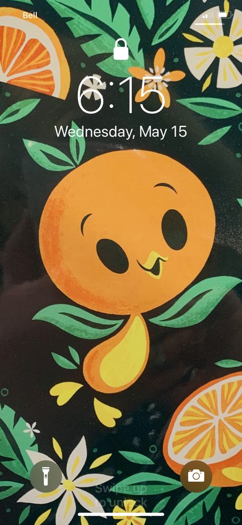 Orange Bird Florida Orange Bird, Florida Oranges, Lucky Rabbit, Orange Bird, Vintage Florida, Birds Painting, Pikachu, Poster Design, Happy Birthday