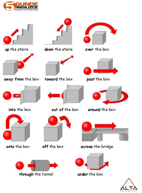 Adverb Of Place, Basic English Grammar Book, English Grammar Notes, Teach English To Kids, English Grammar Exercises, English Grammar Book, Teaching English Grammar, English Phrases Idioms, English Language Learning Grammar