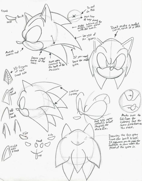 how to draw sonic part 1 Sonic Drawing Reference, Sonic Sketch, Drawing Sonic, Sonic Drawing, Hairstyles For Characters, Draw Sonic, How To Draw Sonic, Hedgehog Drawing, Manga Ideas