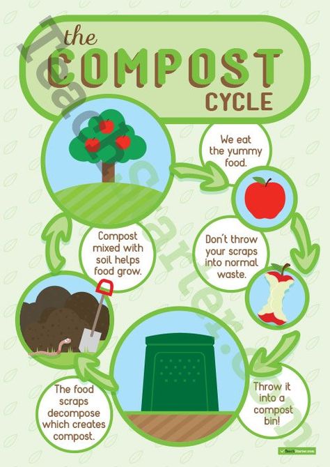 The Compost Cycle Poster Teaching Resource | Teach Starter Composting Activities For Preschoolers, Vermicomposting Poster, Compost Poster, 2nd Grade Science Projects, Recycling Activities For Kids, Recycling Lessons, Cycle Poster, Cycle For Kids, Recycling Activities