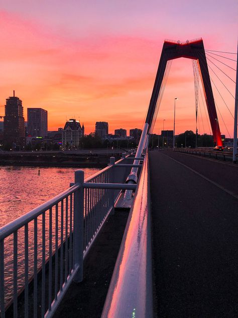 7 Great places for a walk in Rotterdam - Weekends in Rotterdam Rotterdam Skyline, Sunset Walk, Rotterdam Netherlands, Bridge City, Go For A Walk, Netherlands Travel, Beautiful Streets, Europe Tours, Paradise On Earth