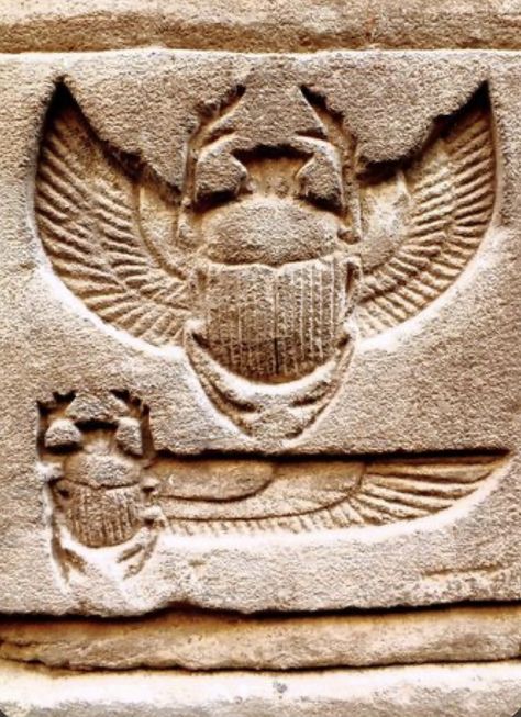 Stone Carving Art, Khepri Ancient Egypt, Ancient Egyptian Jewelry, Ancient Egypt History, Egyptian Artifacts, Egyptian Scarab, Ancient Egypt Art, Egyptian Culture, Guild Wars