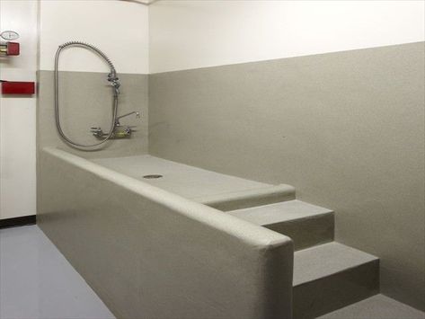 concrete bath/shower for dogs. Place a bar on back wall for leash and cabinet next to area for shampoo, brushes, etc... Shower For Dogs, Dog Tub, Grooming Room, Building A Dog Kennel, Dog Bath Tub, Concrete Bath, Washing Station, Living Pool, Dog Grooming Shop