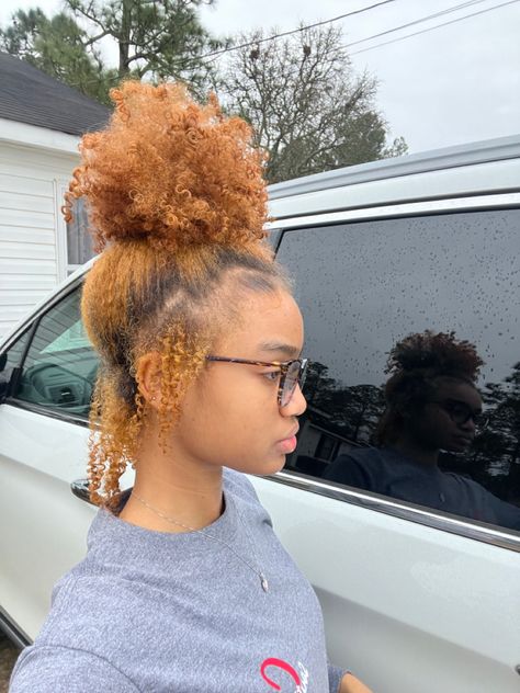 Messy Bun 4c Hair, Messy Bun On 4c Hair, Natural Curly Messy Bun, 4c Messy Bun, Natural Messy Bun, Curly Bun Aesthetic, 4c Natural Hairstyles Coquette, 4c Styles, Afro Hair Dye