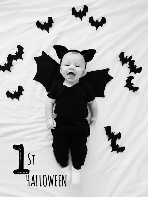 Baby bat 1st Halloween Baby Bat Photoshoot, Halloween Baby Photoshoot At Home, Halloween Photo Shoot Baby, Halloween Baby Photoshoot Ideas, Newborn Halloween Photoshoot, Halloween Baby Pictures, Indie Baby, Diy Newborn Photography, First Halloween Costumes