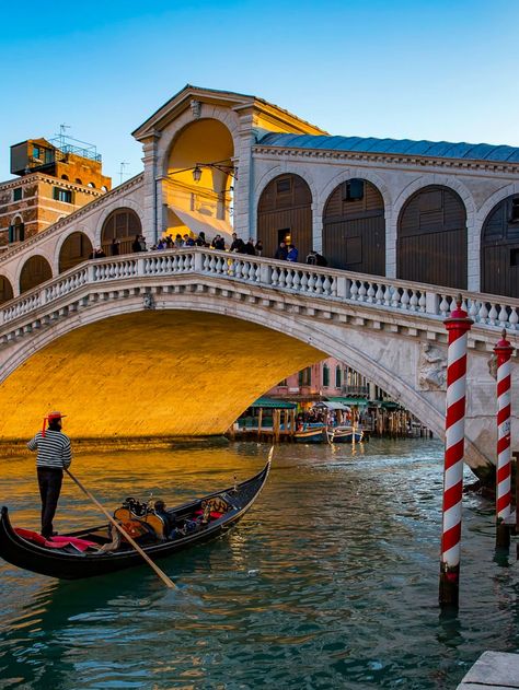 Rialto Bridge, Adriatic Sea, Venice Italy, Italy Travel, Venice, The City, Favorite Places, Bridge, Google Search