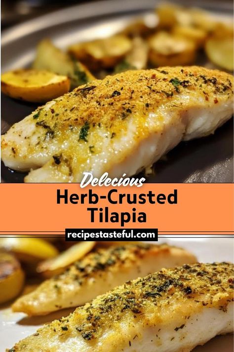 Herb-Crusted Tilapia is a simple and flavorful dish featuring tender tilapia fillets topped with a crispy herb and Parmesan crust. Perfect for a light, healthy meal, this dish is easy to prepare and pairs well with a variety of sides. Tilapia Recipes Healthy Easy, Tilapia Dishes, Tilapia Recipes Healthy, Fish Fillet Recipe, Tilapia Fish Recipes, Crusted Tilapia, Baked Tilapia, Fish Fillets, Christmas Recipes Easy