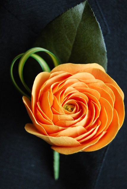 Runuculous Flower, Doodle Diary, Orange Ranunculus, Botanical Photography, Flower Boutonniere, Ranunculus Flowers, Prom Flowers, West Wedding, Colorful Roses