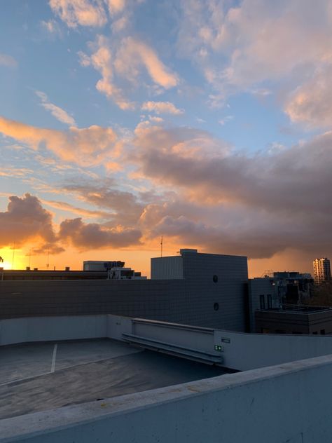 Rooftop View, Forget Me Not