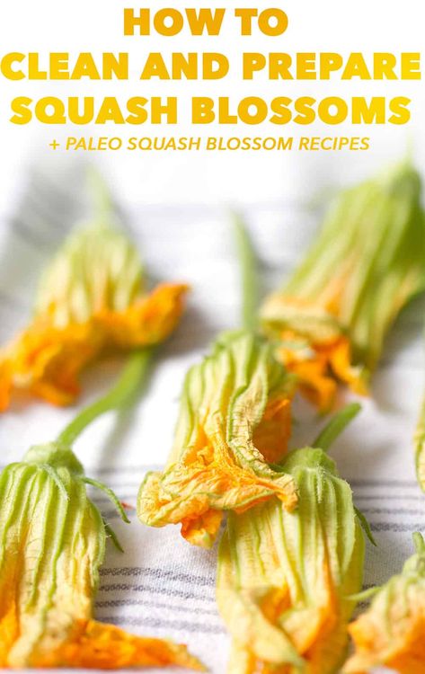 Squash blossoms are a delicious edible flower that you can find in your garden or occasionally at the farmer’s market. It’s serious impossible for me to pass them by as I absolutely love the idea of eating flowers. There is nothing more beautiful and girly that to have that bright yellow flower on your plate. That being said, they can be somewhat intimidating so here’s how to clean and prepare squash blossoms. Vegan Squash Blossoms, Zucchini Blossoms Recipes, Squash Flowers Recipes, Squash Blossoms Recipes, Zucchini Blossom Recipes, Squash Flower Recipes, How To Prepare Squash, Squash Blossom Recipe, Stuffed Squash Blossoms