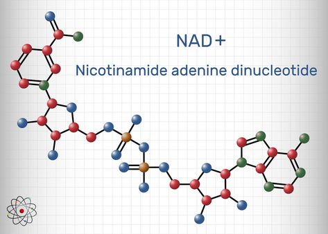 NAD+ Supplements: Slowing the Aging Process Nad Supplement Benefits, Milk Thistle Benefits, Increase Testosterone Levels, Skin Lightener, Dna Repair, Increase Testosterone, Anti Aging Supplements, Body Cells, Supplements For Women