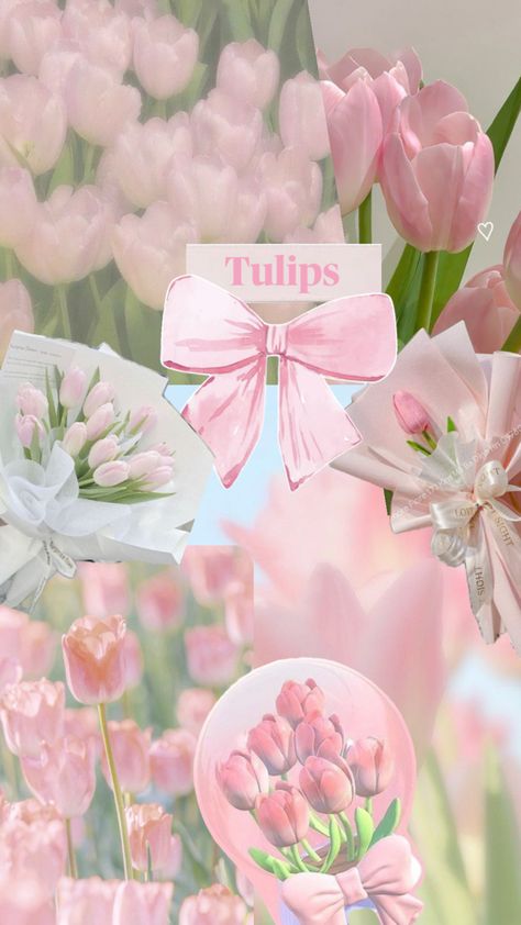 Tulip Flower Pictures, Classy Wallpaper, Iris Art, Pink Tumblr Aesthetic, Pink Wallpaper Backgrounds, Flowers Bouquet Gift, Cute Flower Wallpapers, Cute Room Ideas, Pink Tulips