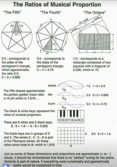 Music Math, Learn Music Theory, Learn Singing, Music Theory Guitar, Guitar Tabs Songs, Sacred Science, Music Visualization, Sacred Geometry Art, Physics And Mathematics