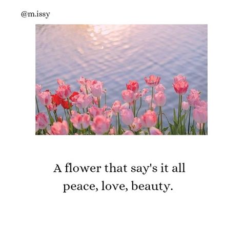 A flower that say's it all peace, love, beauty. Get Her Flowers Quotes, Aesthetic Quotes About Flowers, Christmas Captions For Instagram, Make Me Happy Quotes, Nature Photography Quotes, Vision 2024, Tiny Quotes, Just Happy Quotes, Photography Quotes