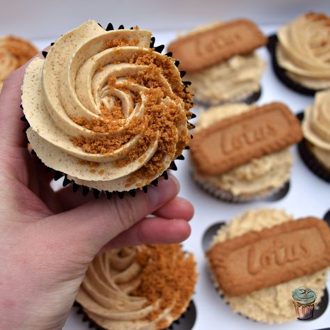 Close up of Biscoff Cupcakes with Lotus Spread Buttercream Swirl by Kathryn's Cupcakes Biscoff Cupcakes, Cupcake Cake Designs, Lotus Biscoff, Cupcake Icing, Chocolate Oreos, Cupcake Flavors, Cupcake Designs, Interesting Food, Baking Cupcakes