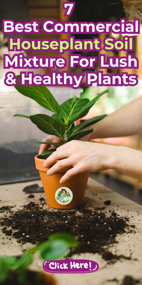 "Discover the 7 best commercial houseplant soil mixtures to achieve lush, thriving plants! Our curated list features top-quality soils designed for optimal drainage, aeration, and nutrient retention. Perfect for indoor gardening enthusiasts, these premium blends support healthy growth for a variety of houseplants. Elevate your plant care routine and create a vibrant indoor oasis with the right soil mix. Explore now for lush greenery and thriving plants!" Best Soil For Indoor Plants, Soil Mix For Indoor Plants, Soil Mixture, Plants Care, Best Indoor Plants, Houseplants Indoor, Best Commercials, Indoor Gardening, Potting Soil