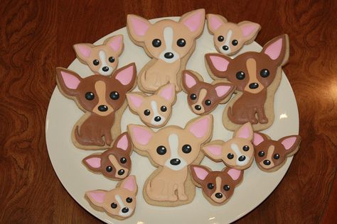 Chihuahua cookies????? Too cute! Your Dog, Flea Prevention, Chihuahua Lover, Cute Chihuahua, Dog Cookies, Chihuahua Love, Animal Cookies, Dog Biscuits, Cut Out Cookies