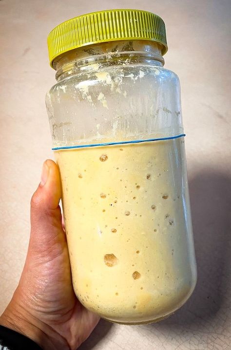 Lupin Flour Sourdough Starter - Keto, Low-Carb, Vegan Keto Sourdough Starter Recipe, Low Carb Sourdough Starter, Lupin Flour Recipes Keto, Low Fermentation Diet Recipe, Lupin Flour Cake Recipes, Keto Sourdough Bread Starter, Lupine Flour Recipes, Keto Recipes Using Lupin Flour, Low Carb Sourdough Bread