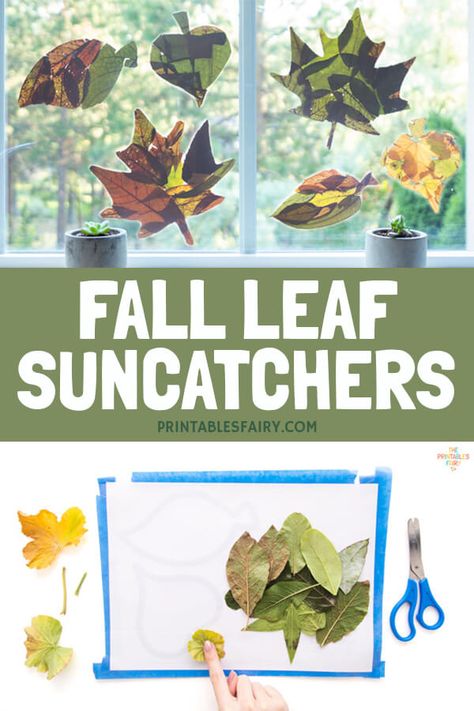 Fall Leaves Contact Paper, Changing Leaves Activities, Contact Paper Leaf Craft, Contact Paper Fall Crafts, Fall Leaves Template Free Printable, Preschool Leaves, Fall Leaves Craft, Leaves Template Free Printable, Leaf Suncatchers