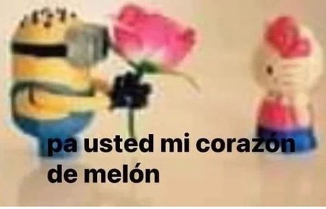 palmito._.post on Instagram: “Pa usted 🛐🛐🛐✨ #crush #amor #crushmemes #instagood #anime #instagood #instagram #lgbtq🌈 #kitty #hellokitty #memes #memes😂” Funny Spanish Jokes, Giving Flowers, Spanish Jokes, Crush Memes, I Love You Baby, Silly Girls, Spanish Humor, Love Phrases, Cat Quotes