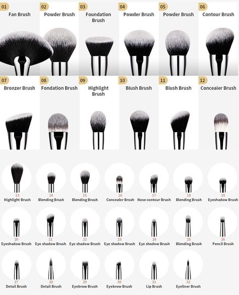 Brushes Uses Makeup, Different Makeup Brushes Uses, Brush Guide Makeup, Different Brushes For Makeup, All Makeup Brushes And Uses, Brushes For Eye Makeup, Small Blending Brush, Makeup Brush Chart, Contour Makeup Brushes