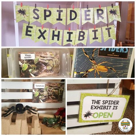 Nocturnal Animals Lesson Planning Page Spider Dramatic Play Preschool, Diy Dramatic Play, Dramatic Play Centers Preschool, Spiders Preschool, Play Preschool, Spider Activities, Play Grocery Store, Adoption Form, Spider Theme