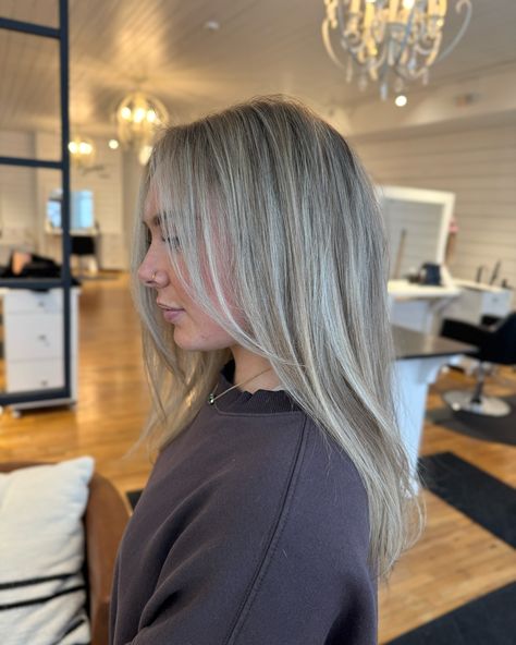 wintery blonde ❄️🩶 >>>swipe for the before!! #hairstylist #hairstylists #michiganstylist #mihairstylist #blonde #brunette #highlights #lowlights #livedinblonde #livedinhair #dimensionalblonde #rootsmudge #teasylights #balayage #haircut #holland #grandrapids #michigan #winterhair Brunette Highlights Lowlights, Champagne Blonde Highlights, Low Maintenance Blonde, Winter Blonde Hair, Balayage Haircut, Platinum Highlights, Highlights Lowlights, Dimensional Blonde, Champagne Blonde