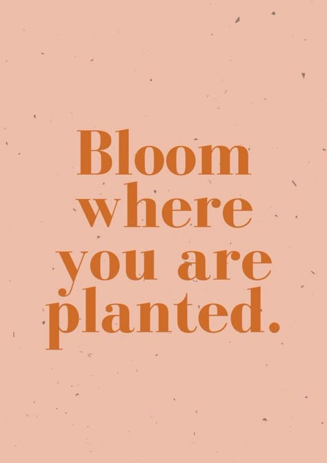 #life #quote #inspiringwords Bloom Where You Are Planted Quote, Bloom Typography, Bloom Quotes, Bloom Where You Are Planted, Life Quotes Love, Graphic Quotes, Happy Words, Typography Quotes, Poetry Quotes