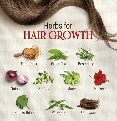 Chinese Medicine Hair Growth, Indian Herbs For Hair Growth, Ayurvedic Recipes For Hair, Hair Growth Indian, Hair Growth Recipes, Plant Hair, Herbs For Hair Growth, Herbs For Hair, Hair Growth Foods