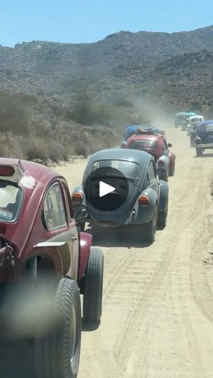 7.3K views · 3.1K reactions | Nothing beats a Vocho roll! | The Baja Bug Movie | Lynyrd Skynyrd · Free Bird Lynyrd Skynyrd Free Bird, Vw Baja Bug, Vw Baja, Baja Bug, Vintage Volkswagen, Free Bird, Lynyrd Skynyrd, Bugs, Volkswagen