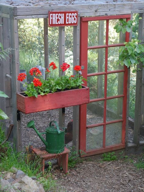 The mesh walls and roof are secured with washers and screws spaced six inches apart along the studs. Bright red geraniums in the window box bloom almost year-round in the mild Northern California climate. Gardening Basics, Red Geraniums, Building A Chicken Coop, Dekor Diy, Chicken Diy, Chicken Runs, Chicken House, Country Crafts, Chicken Wire