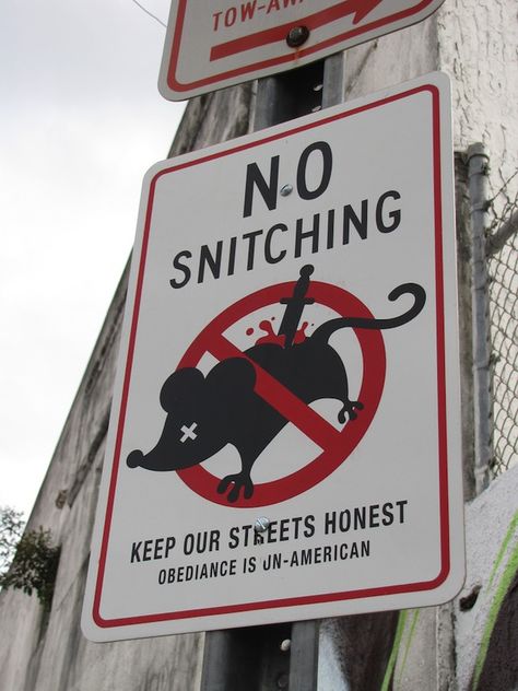 I'm torn, if I don't snitch and obey this sign I'm un-American... if I snitch and tell the truth I'm making the streets less honest. I'm going to file this one under "occupy stupid". Stop Snitching Tattoo, Snitch Quotes, Snitches Get Stitches, Mending Clothes, Angel Design, Modern Metropolis, Alien Art, Street Signs, Picture Design