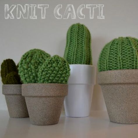 Knit Cactus, Cactus Crafts, Knitted Gifts, Koti Diy, Diy Fleur, Diy Christmas Presents, Knitting Toys, Cactus Diy, Crafting Inspiration