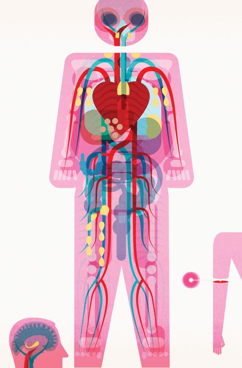 Circle Graphic Design, Body Illustration, Graphic Novel Illustration, Illustration Infographic, Human Bones, Graph Design, The Body Book, Different Art Styles, Art Poster Design