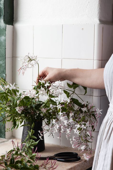 Rethinking Jasmine: The Perfect Vase for a Fragrant Flowering Vine - Gardenista Jasmine Floral Arrangements, Living Flower Arrangements, Jasmine Flower Wedding Decor, Jasmine Flower Arrangement, Common Jasmine, Flower Proposal, Gerbera Wedding, Home Flower Arrangements, Jasmine Vine