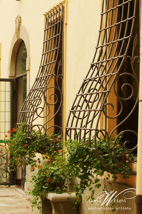 I so love these antique iron window guards in Italy. Window Guards, Porte In Ferro, Burglar Bars, Window Pane Mirror, Window Bars, Wrought Iron Decor, Iron Windows, Window Security, Basement Windows