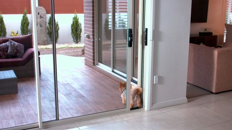 Autoslide K9 Automatic Pet Door for Sliding Patio Doors Automatic Dog Door Opener, Automatic Dog Door, Patio Sliding Doors, Doggie Door, Automatic Sliding Doors, House Appliances, Dog Remedies, Doors Makeover, Pet Door