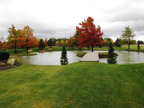 Pond With Island In Middle, Pond With Island, Farm Pond, Building A Pond, Home Decor Wallpaper, Diy Pond, Fountains Backyard, Swimming Pond, Pond Landscaping