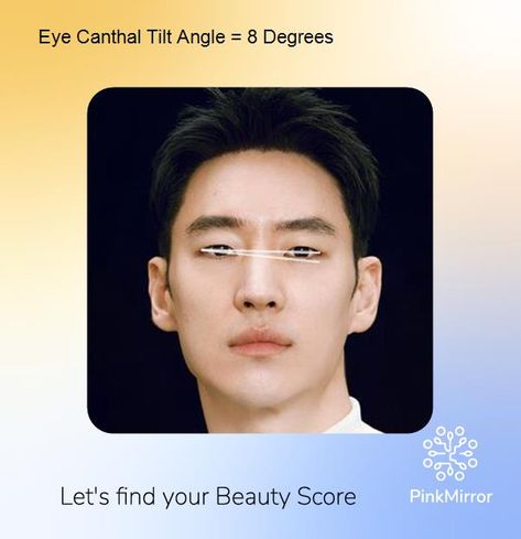 "Discover the Mesmerizing Eye Canthal Tilt of Korean Heartthrob Lee Je Hoon from Taxi Driver!" #leejehoon #taxidriver #pinkmirror #beautytips Canthal Tilt, Face Analysis, Small Nose, Facial Aesthetics, Lower Lip, Celebrity Faces, Oval Face Shapes, Upper Lip, Taxi Driver