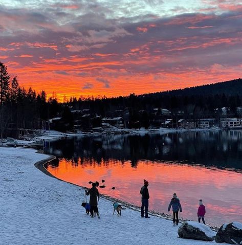 When dreaming of a beach vacation, Montana may not be the first place that comes to mind. However, though landlocked, Montana is home to stunning mountain lakes that offer crystal clear waters. ▪️▪️ @stilllivingphoto ▪️▪️ #Whitefish #CityBeach #VisitWhitefish #Stumptown #VisitMontana #ExploreMT #DowntownWhitefish #BookDirect #RockyMountains #VacationRentals #VacationTime #MontanaMoment #Whitefish Vacation Montana, Flat Head Lake Montana, Montana Whitefish, Whitefish Montana Summer, Whitefish Montana Skiing, Flathead Lake Montana, Visit Montana, Mountain Lakes, White Fish