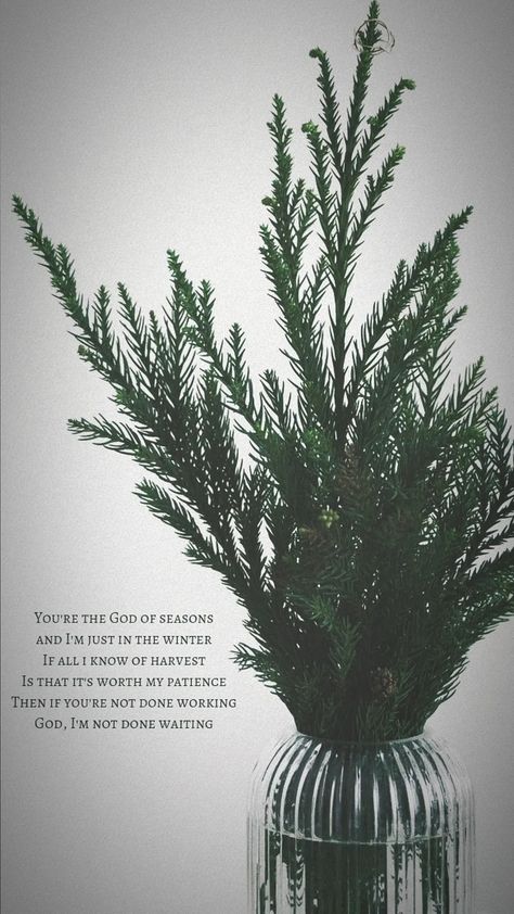 Seasons Hillsong, Hillsong Worship, Prayer Board, Worship, Plant Leaves, Abstract Artwork