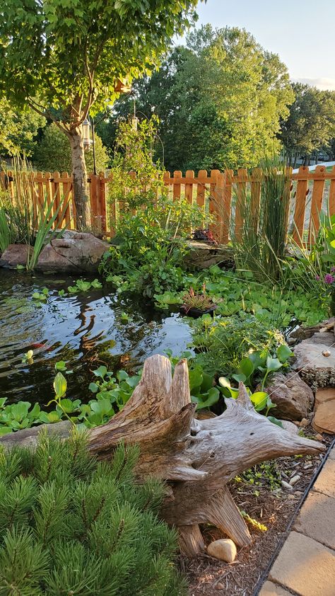 Flower Garden Ideas Backyard, Garden Ideas Pallet, Front Yard Pond, Backyard Meditation Garden, Pallet Garden Ideas, Backyard Stream, Ideas Garden Design, Garden Ponds, Garden Pond Design