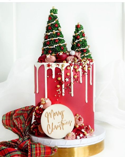 Mini Christmas Cakes, Xmas Vibes, Christmas Themed Cake, Cookie Embosser, Christmas Cake Designs, Cake Classes, New Year's Cake, Cake Decorating Classes, Christmas Cake Decorations