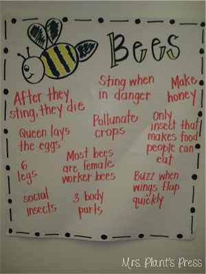 Bees Kindergarten, Bees Facts, Insects Activities, Gold Science, Kindergarten Poetry, Insect Study, Insects Preschool, Bugs Preschool, Insect Activities