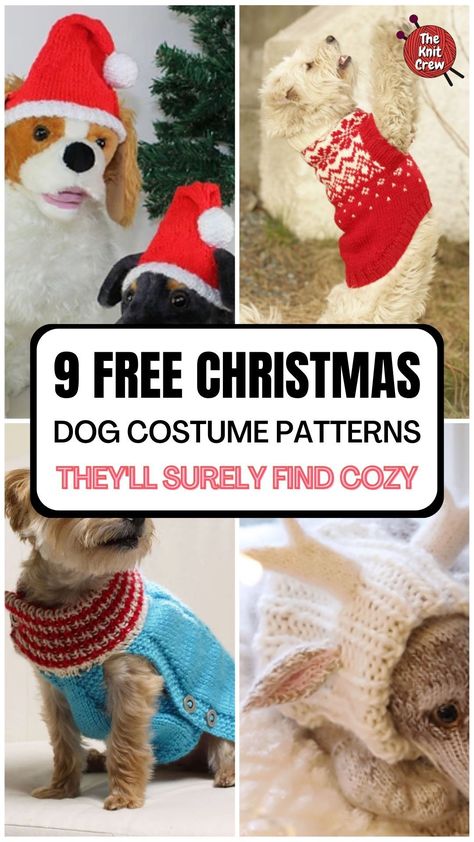 With these knitting patterns for Christmas dog outfits, your pup will stay warm and comfy while spreading holiday cheer! Check out the curated collection of these knitted dog costumes on The Knit Crew. Free Knitting Pattern For Dog Hat, Christmas Crochet For Dogs, Dog Christmas Costumes Diy, Dog Hat Knitting Pattern, Free Dog Sweater Patterns, Knitting Patterns For Christmas, Christmas Costumes Diy, Diy Pet Costumes, Christmas Dog Hat