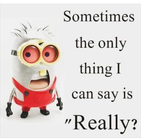 Minion Sayings, Minion Stuff, Minions 1, Comic Script, Minion Humor, Speak My Mind, Funny Quotes And Sayings, Solar Eclipses, Cheaper Than Therapy