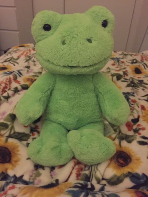 Aesthetic Build A Bear, Frog Teddy Bear, Frog Teddy, Spring Green Frog, Valentines Flash, Birthday Frog, Build A Bear Frog, Frog Toy, Pet Regression